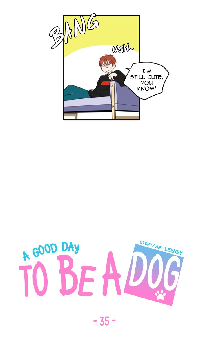 Read A Good Day to Be a Dog EN Manga Online
