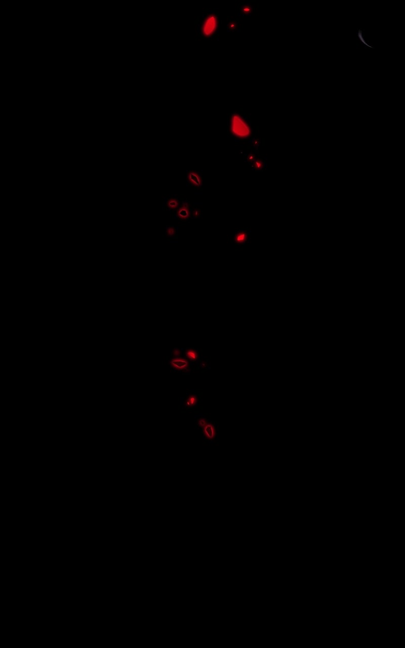 Read Absolute Reign EN Manga Online