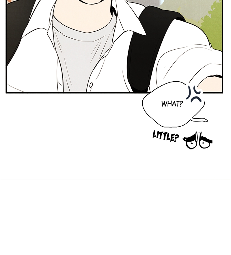 Read After School Lessons for Unripe Apples EN Manga Online