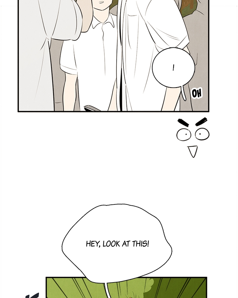 Read After School Lessons for Unripe Apples EN Manga Online