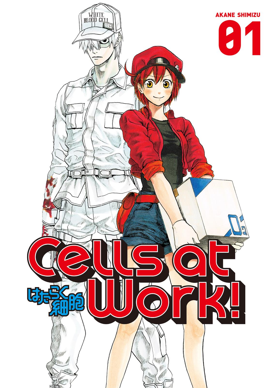Read Cells at Work! EN Manga Online