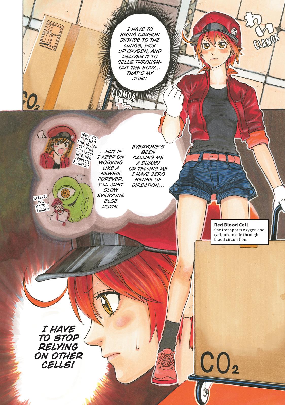 Read Cells at Work! EN Manga Online