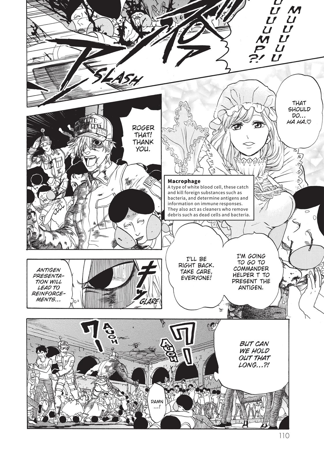 Read Cells at Work! EN Manga Online