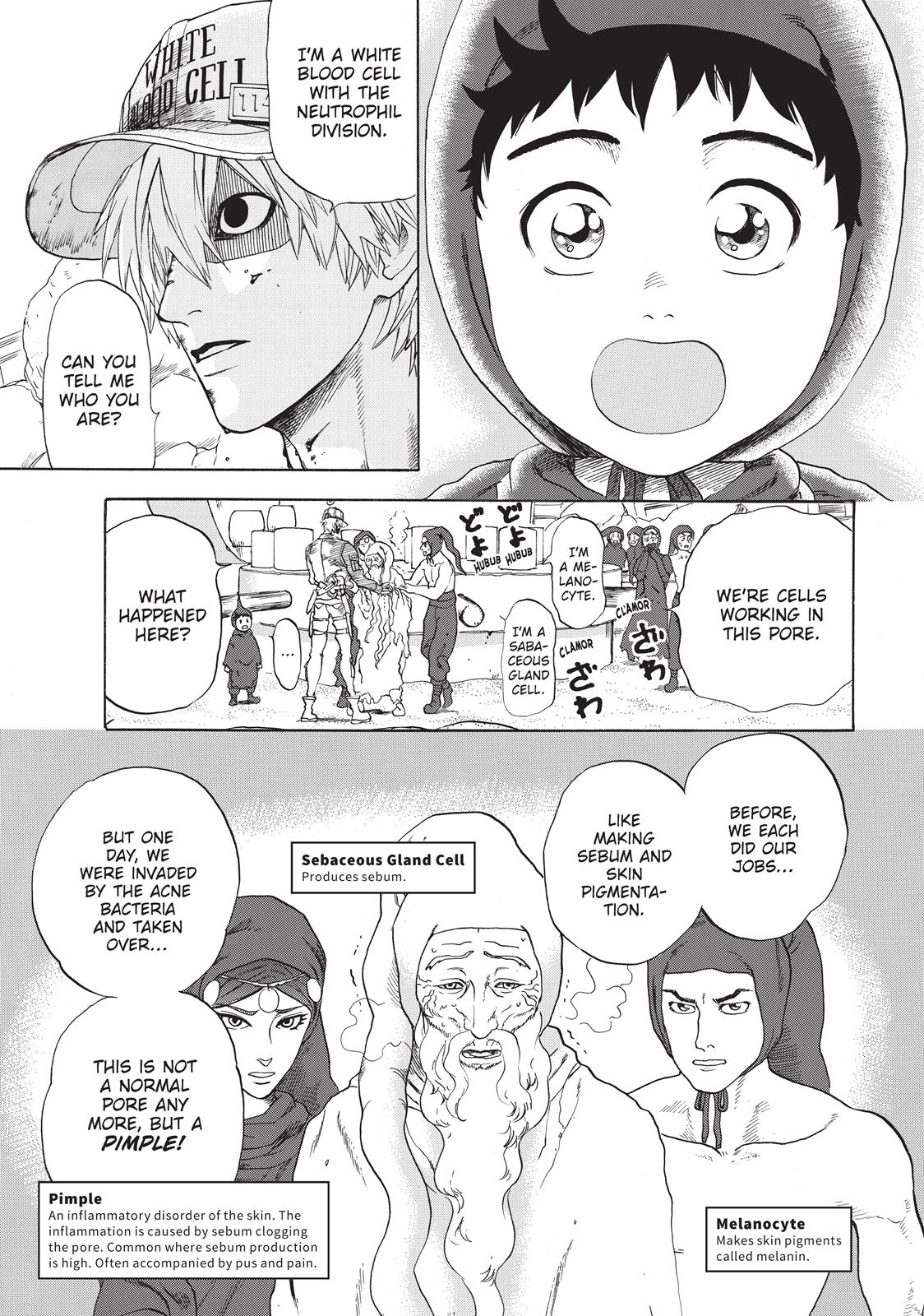 Read Cells at Work! EN Manga Online