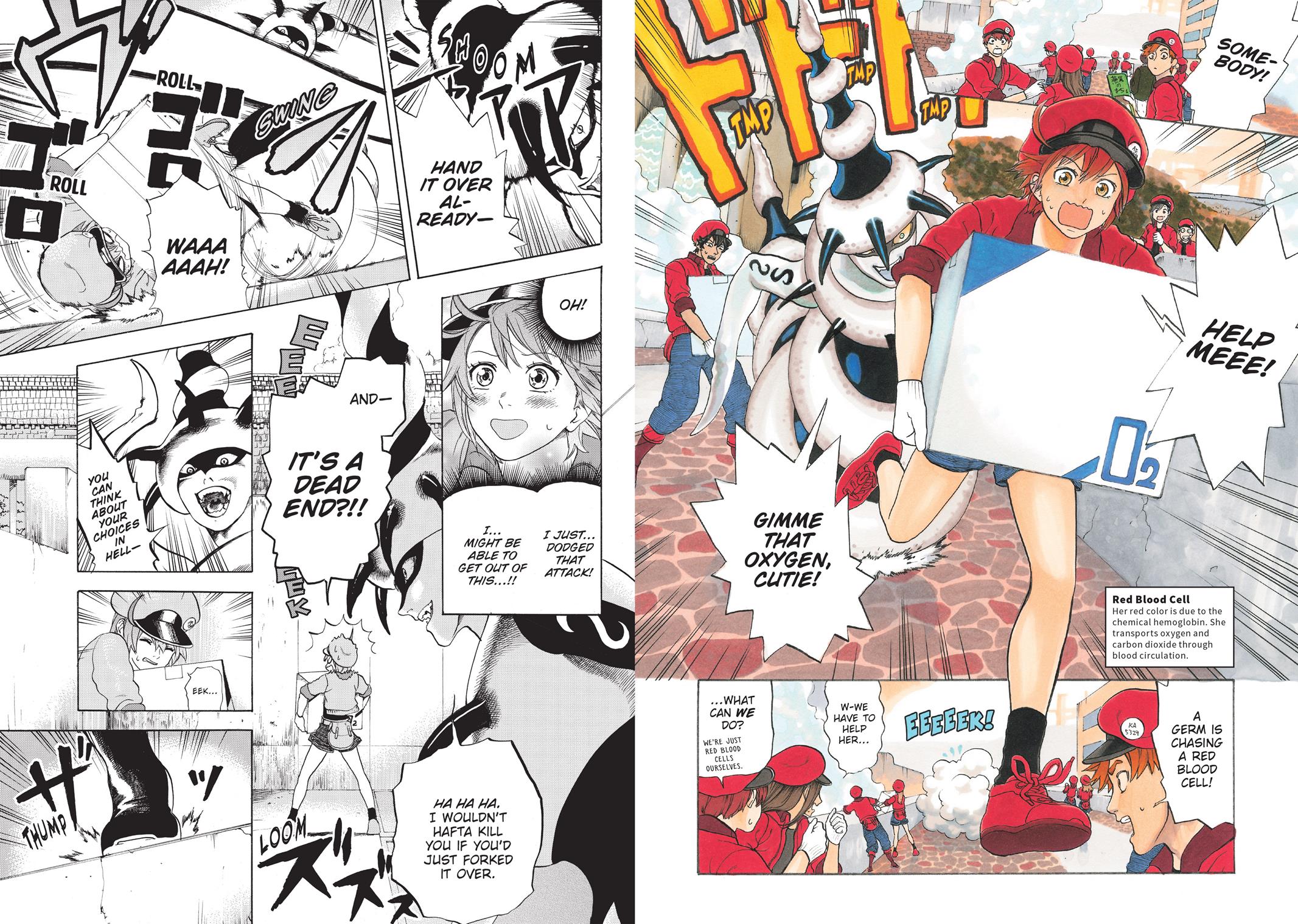 Read Cells at Work! EN Manga Online