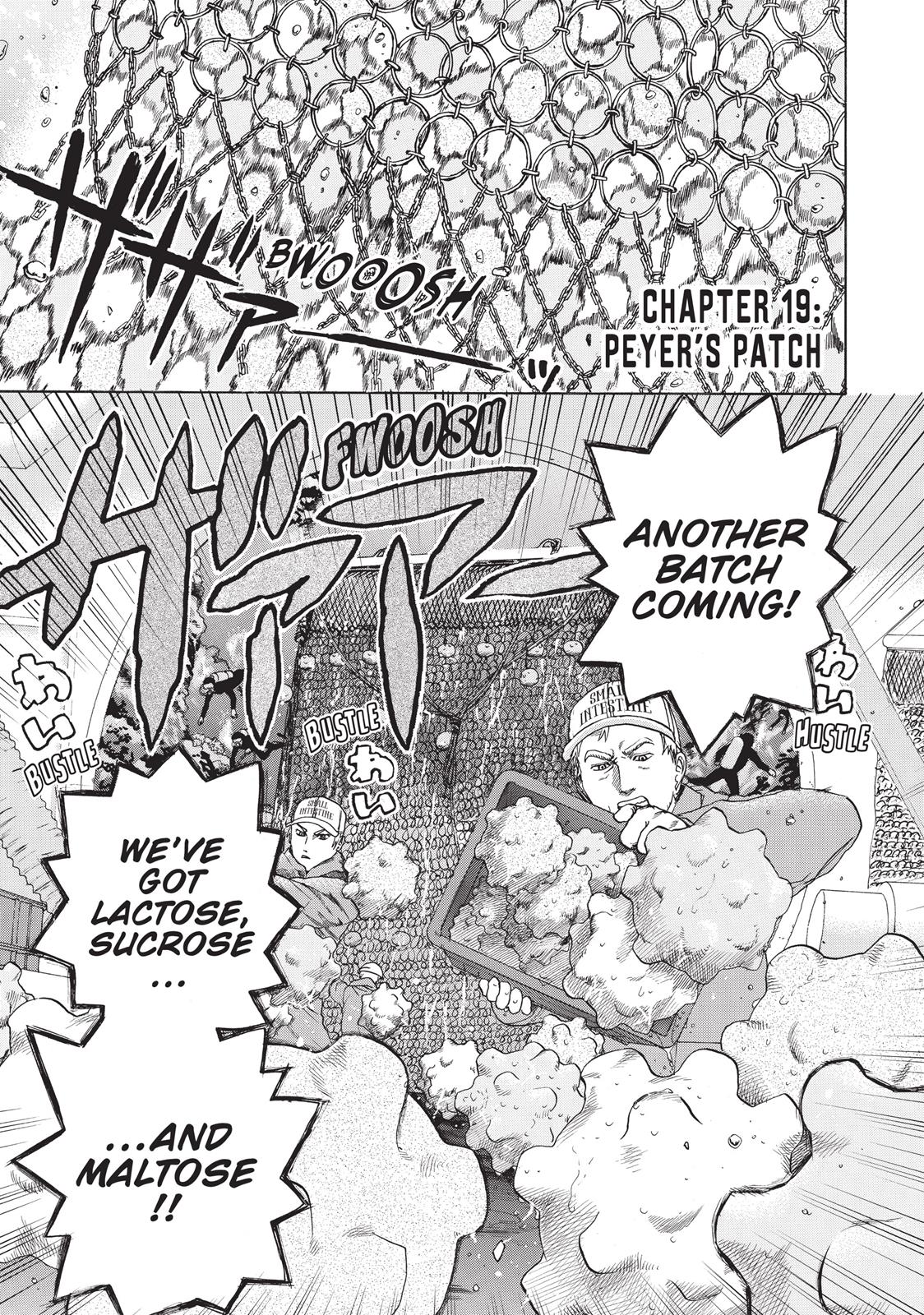 Read Cells at Work! EN Manga Online