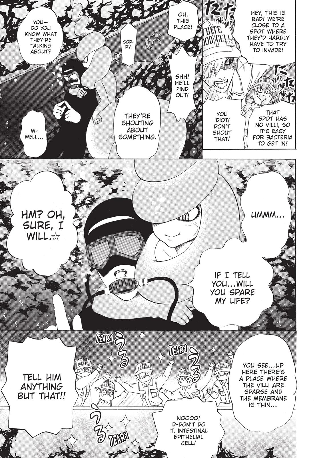 Read Cells at Work! EN Manga Online