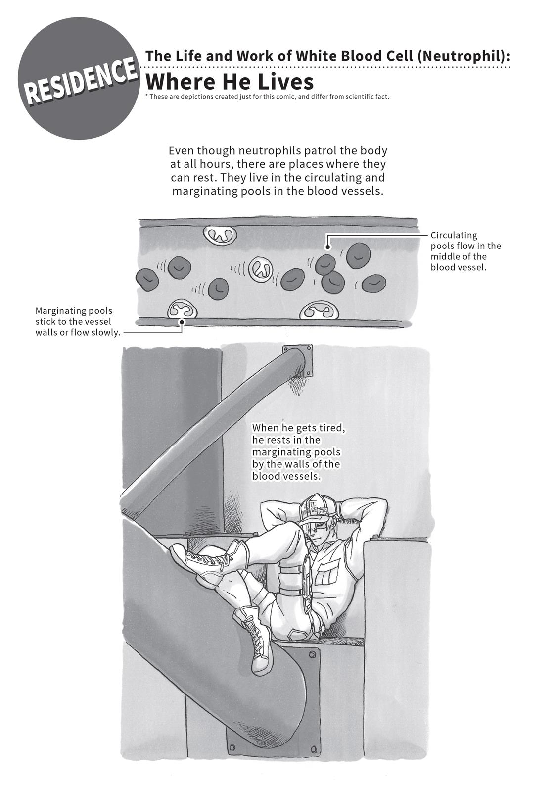 Read Cells at Work! EN Manga Online