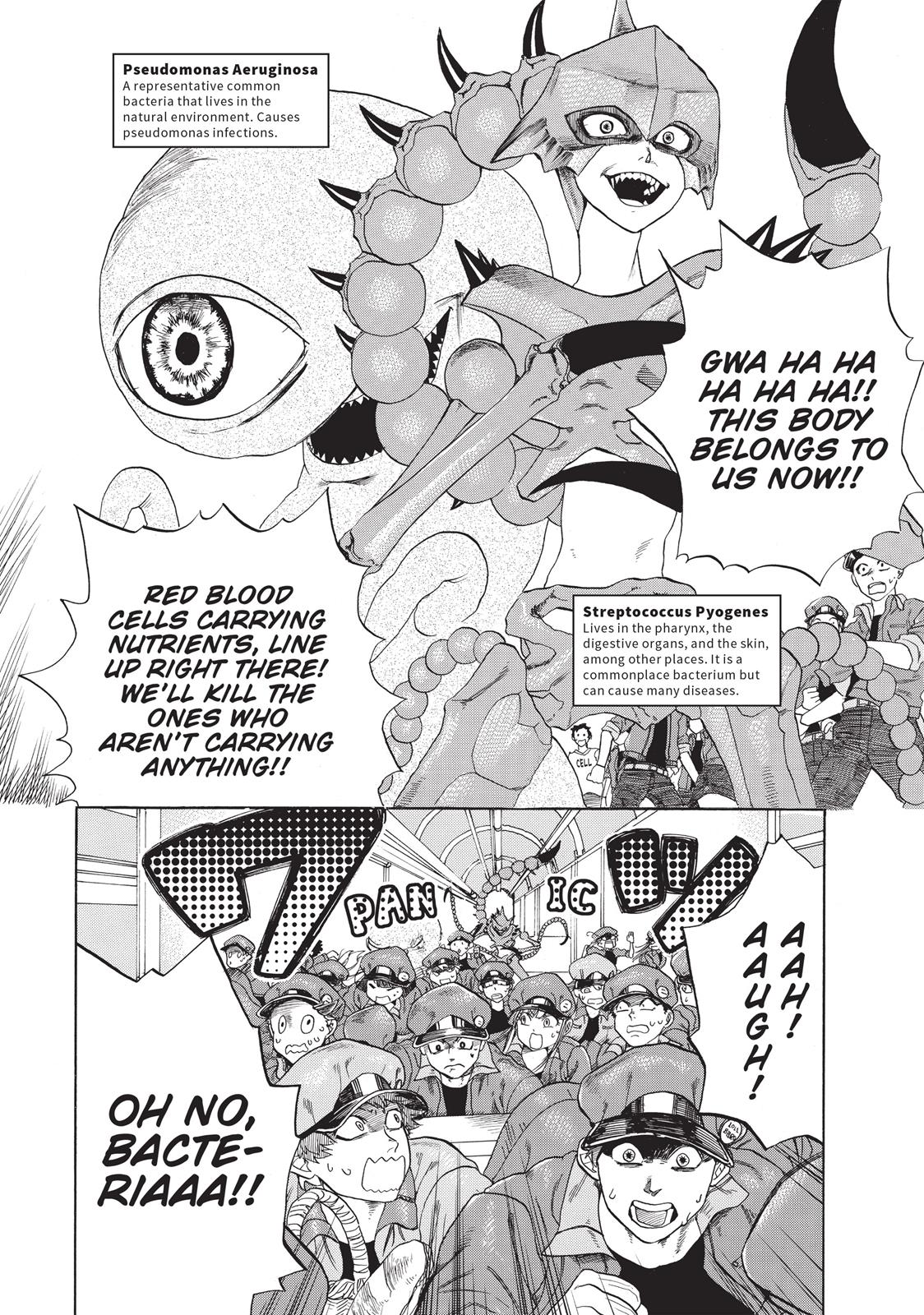 Read Cells at Work! EN Manga Online