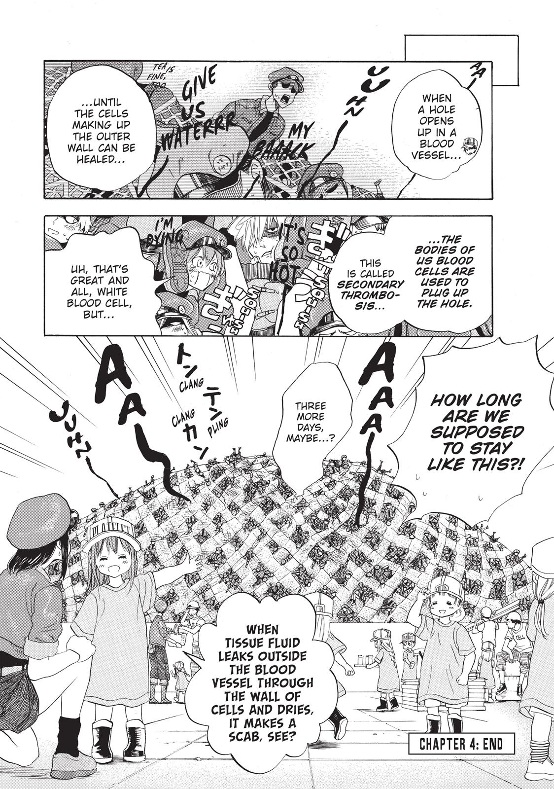 Read Cells at Work! EN Manga Online