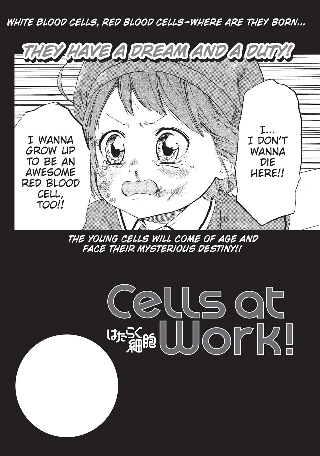Read Cells at Work! EN Manga Online