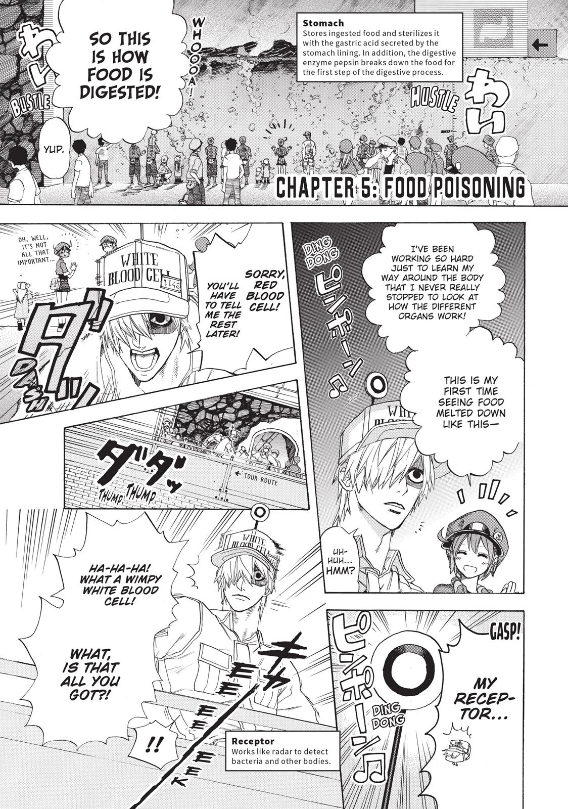Read Cells at Work! EN Manga Online