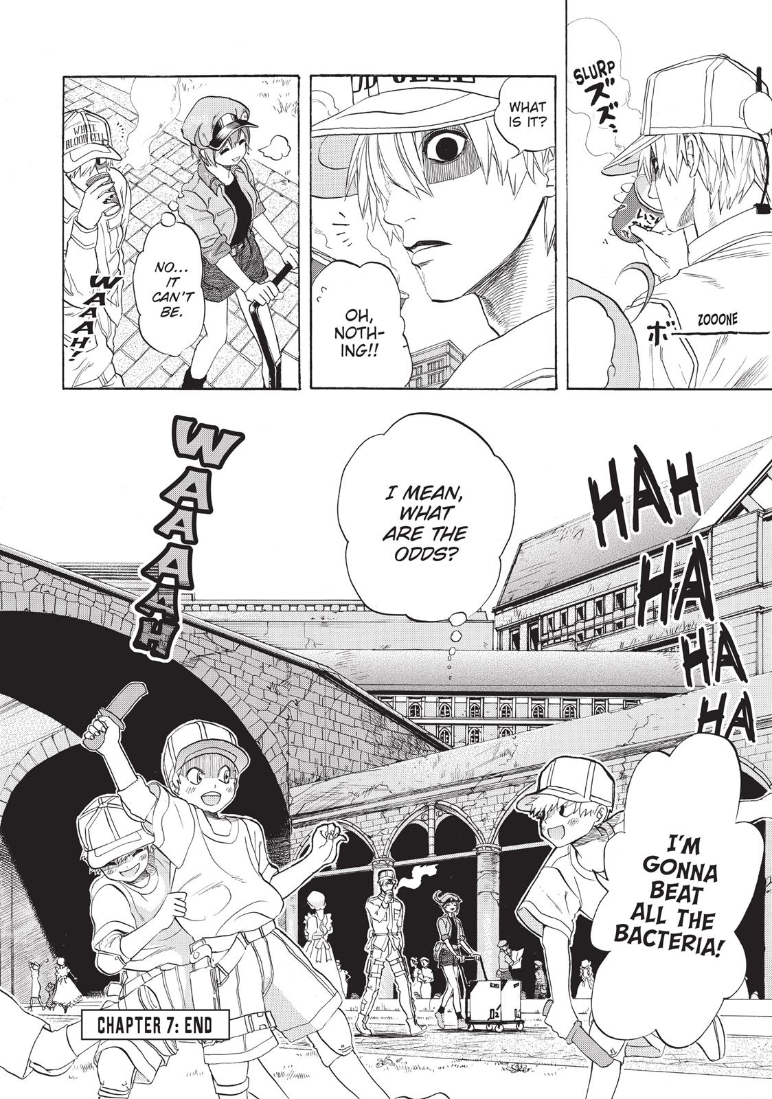 Read Cells at Work! EN Manga Online