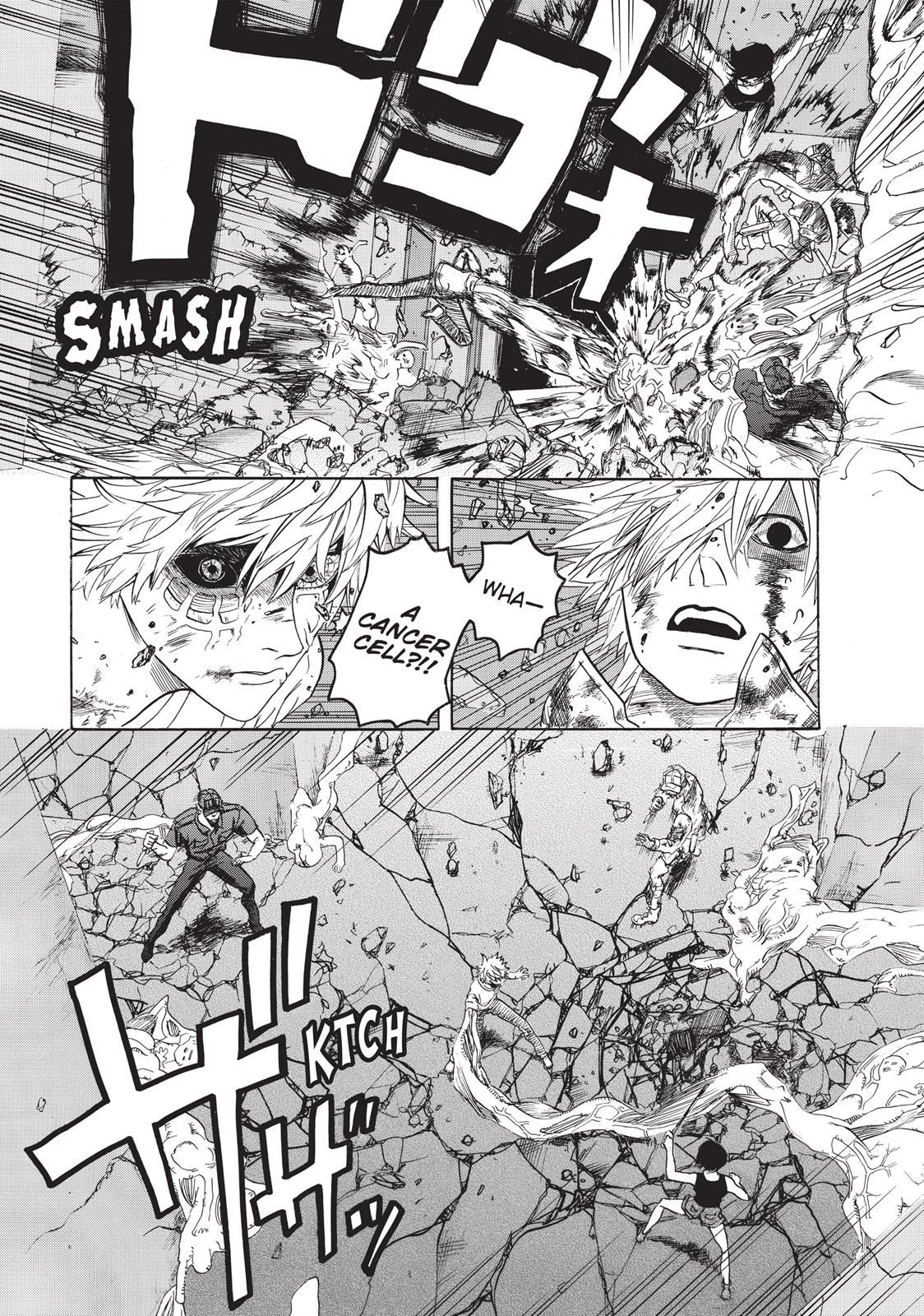 Read Cells at Work! EN Manga Online