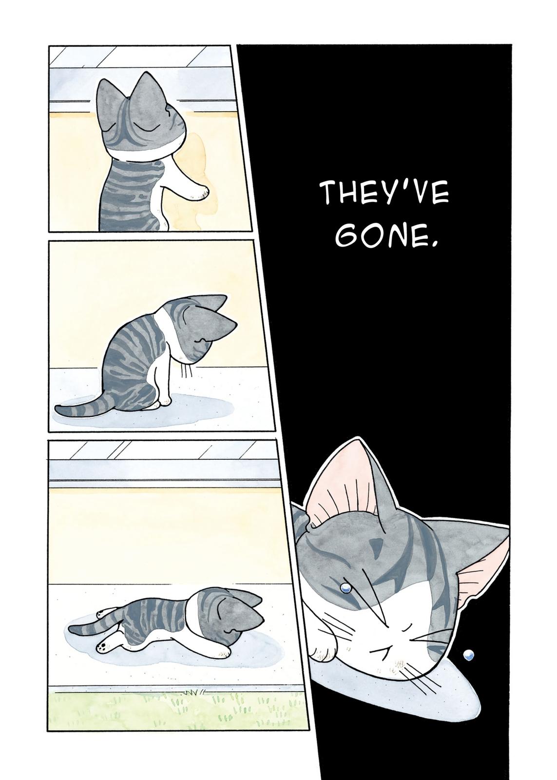 Read Chi's Sweet Home EN Manga Online