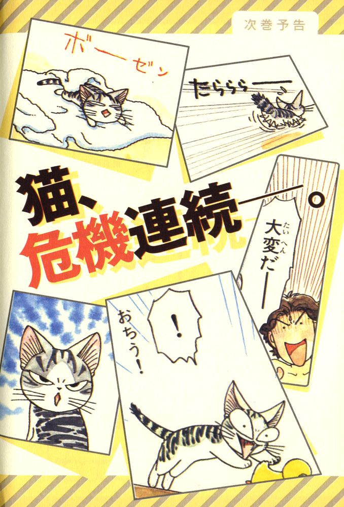 Read Chi's Sweet Home EN Manga Online