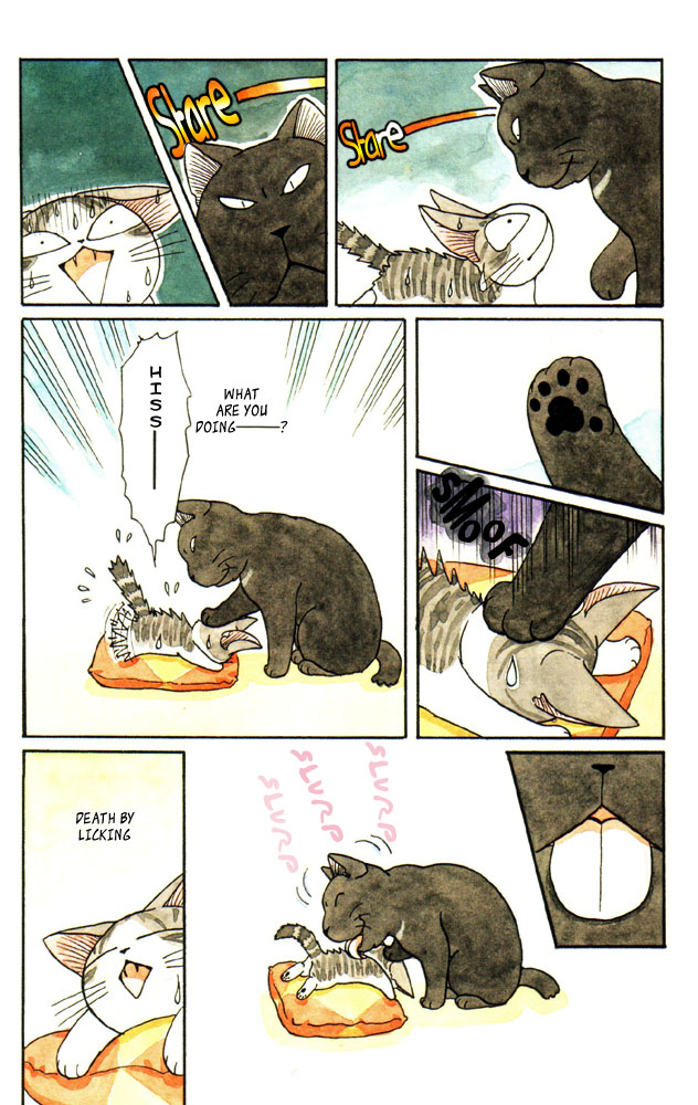 Read Chi's Sweet Home EN Manga Online