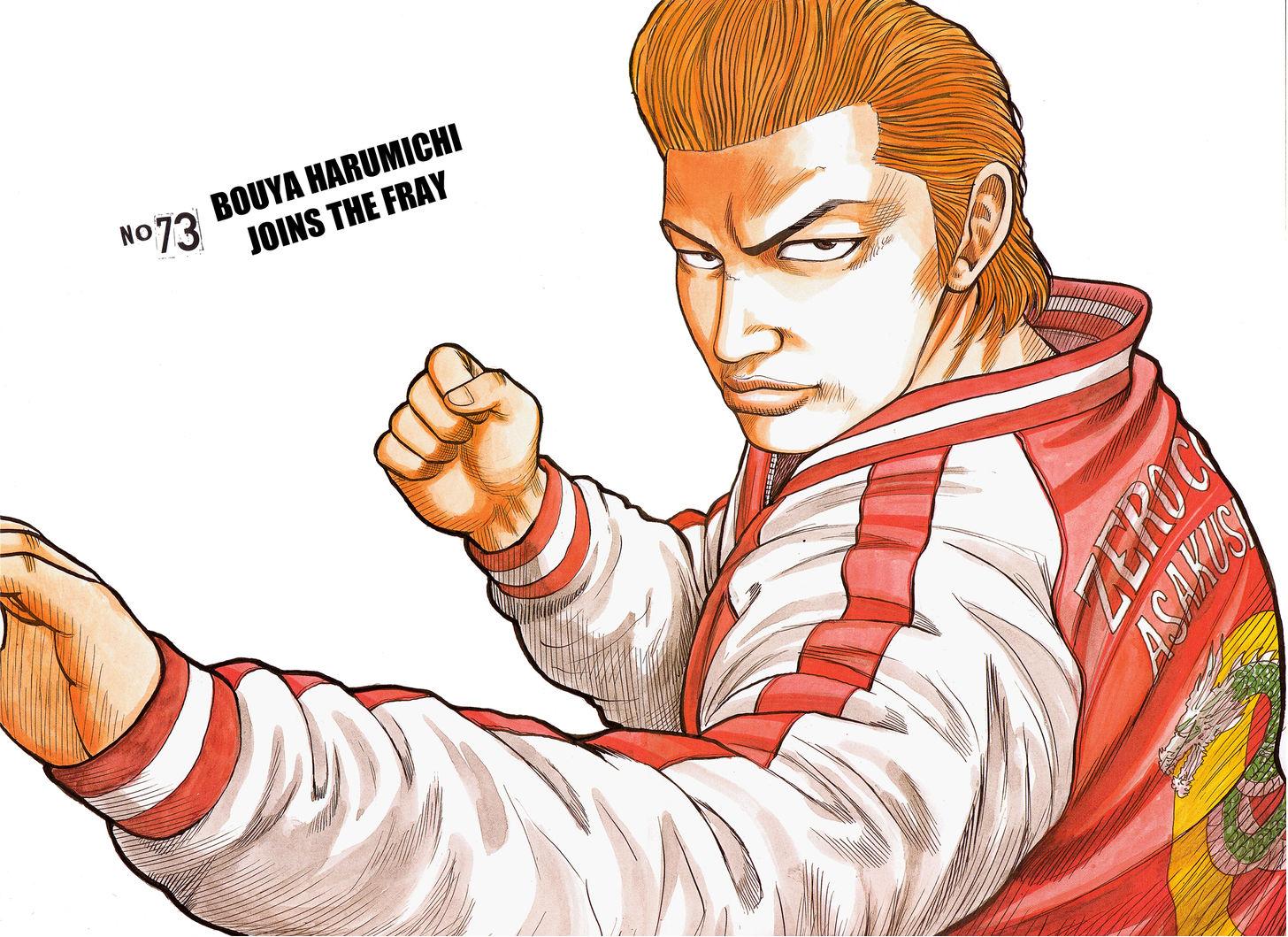 Read Crows EN Manga Online