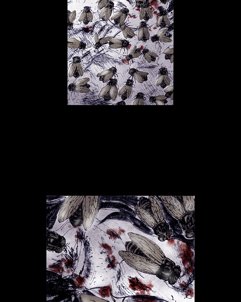 Read Distant Sky EN Manga Online