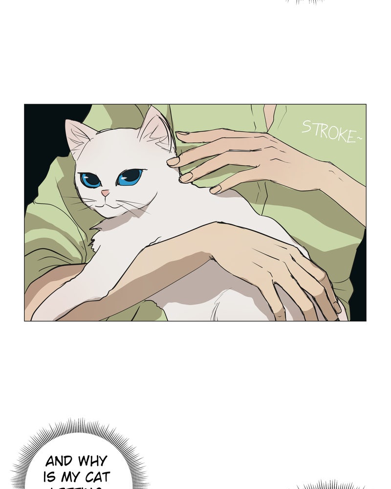 Read Freaking Romance EN Manga Online