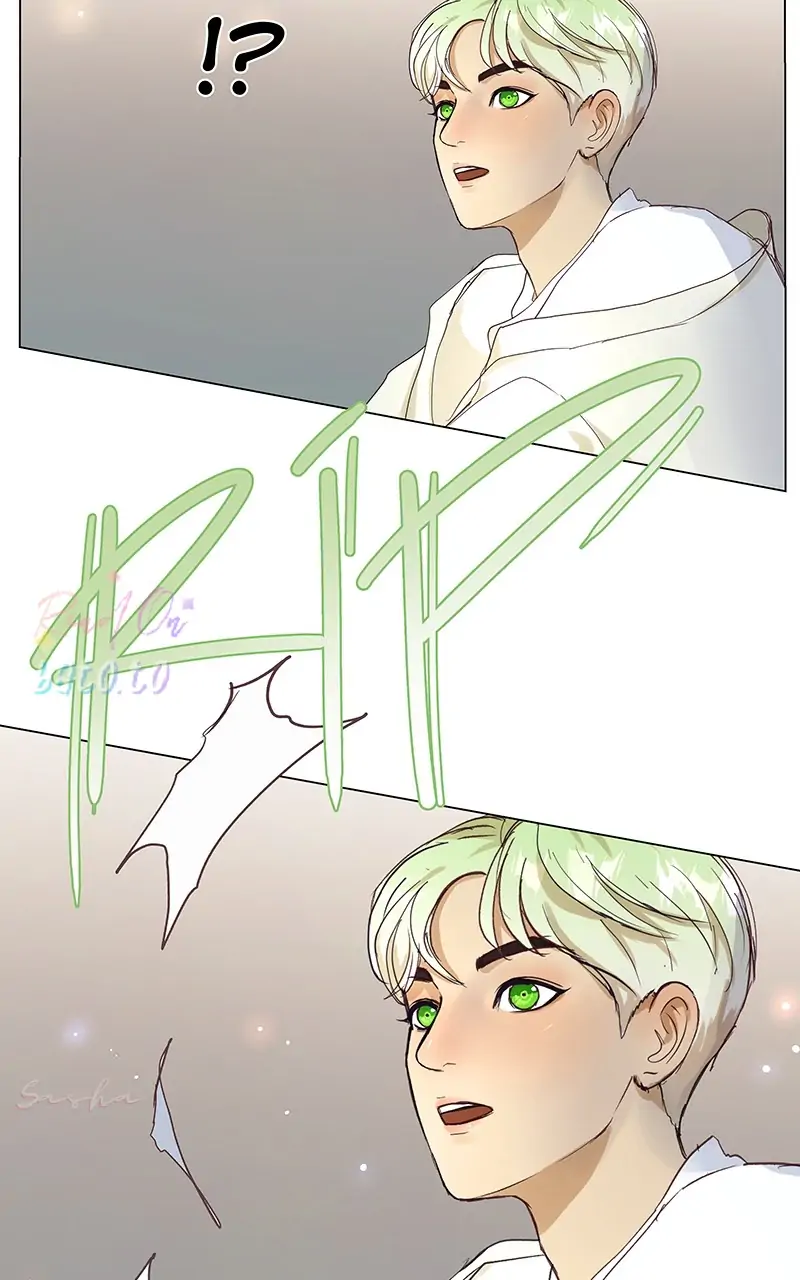 Read Freaking Romance EN Manga Online