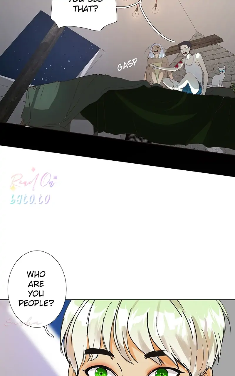 Read Freaking Romance EN Manga Online