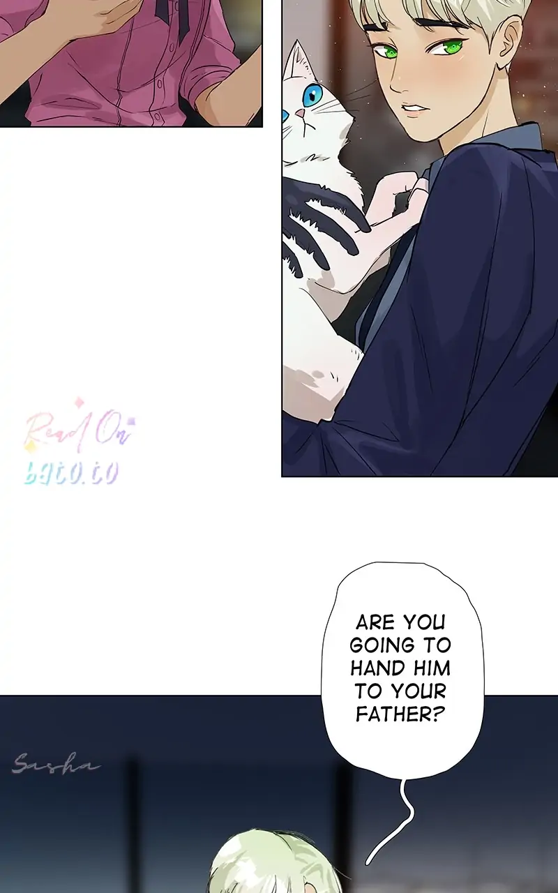 Read Freaking Romance EN Manga Online