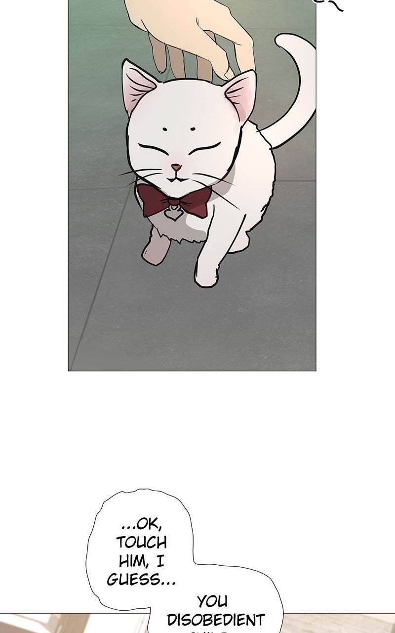 Read Freaking Romance EN Manga Online