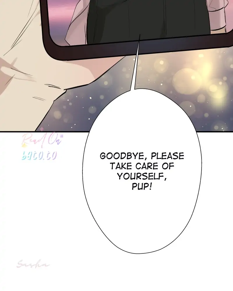 Read Freaking Romance EN Manga Online