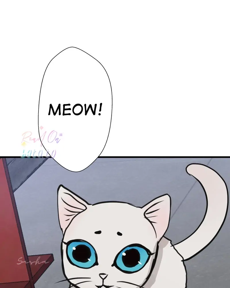 Read Freaking Romance EN Manga Online