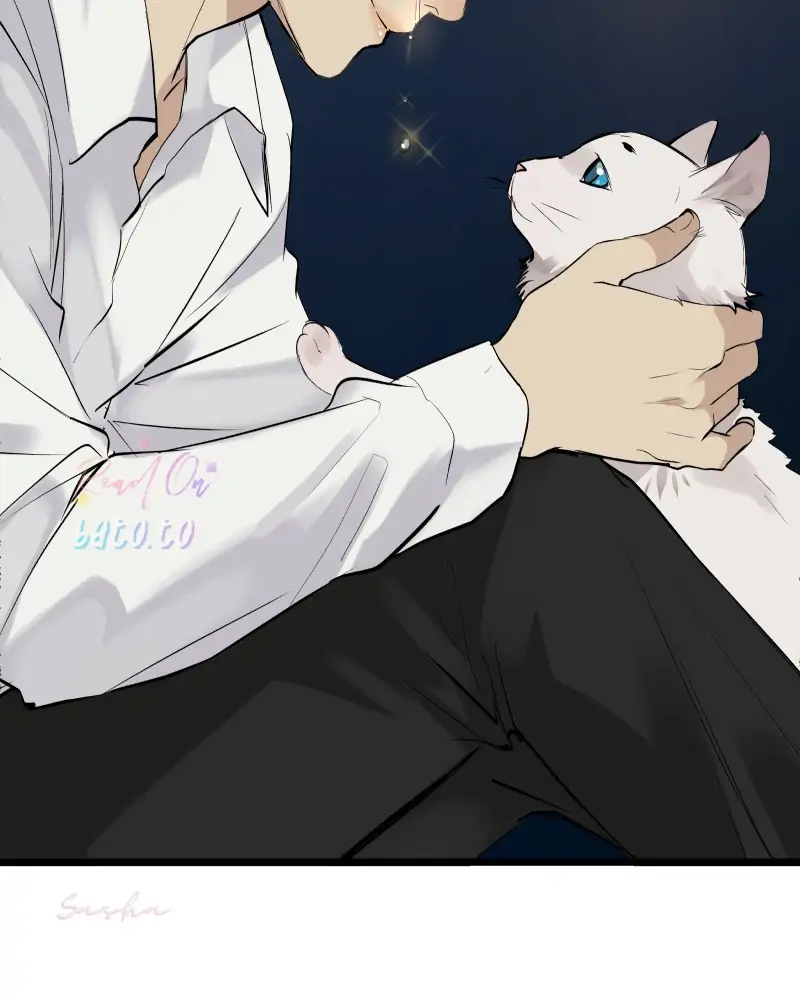 Read Freaking Romance EN Manga Online