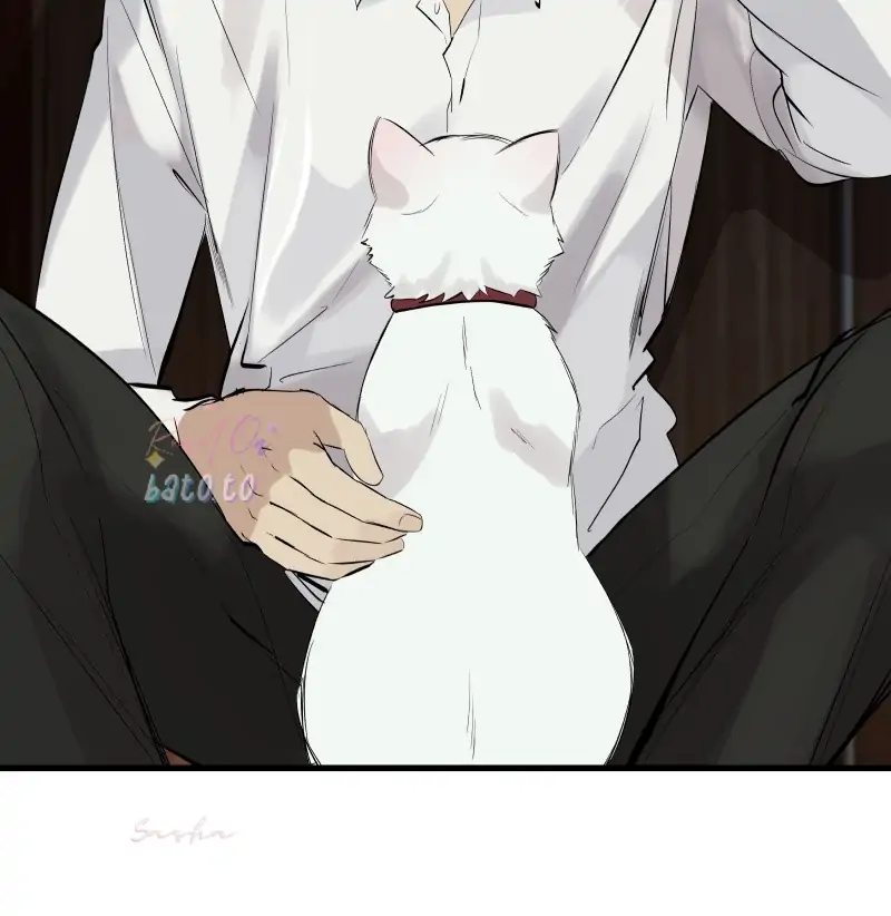 Read Freaking Romance EN Manga Online