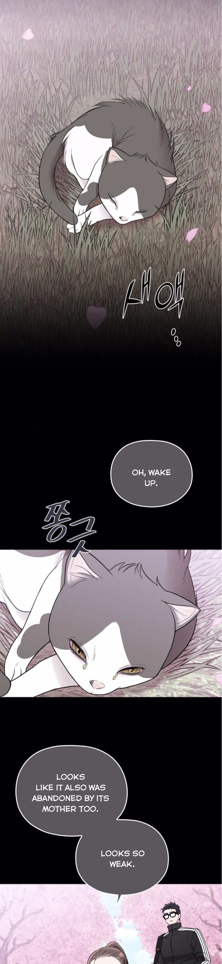 Read Marry My Husband EN Manga Online