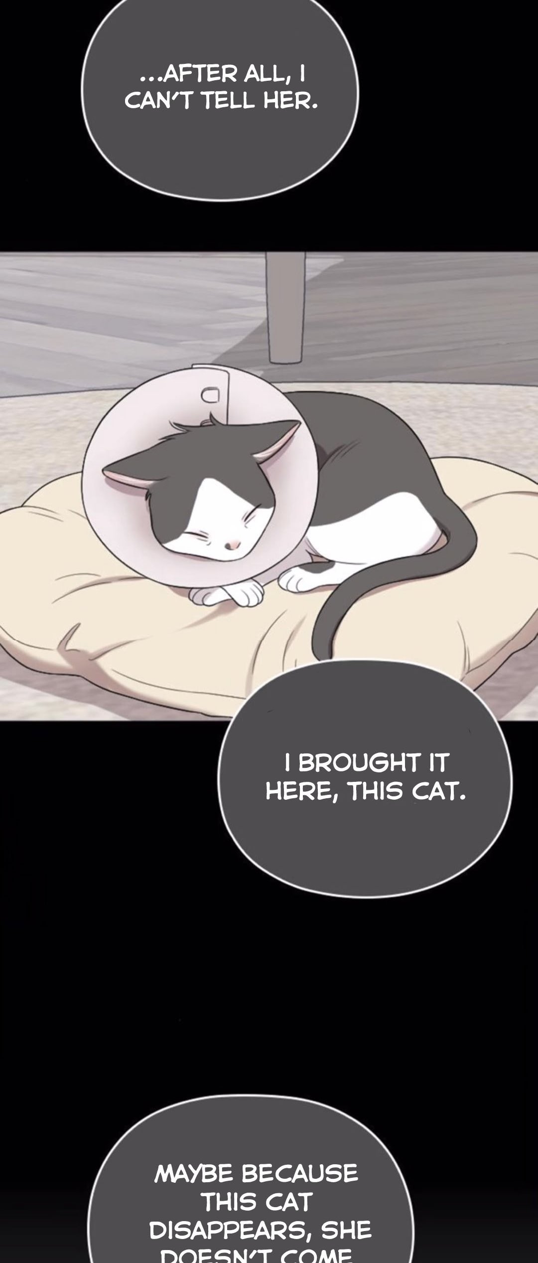 Read Marry My Husband EN Manga Online