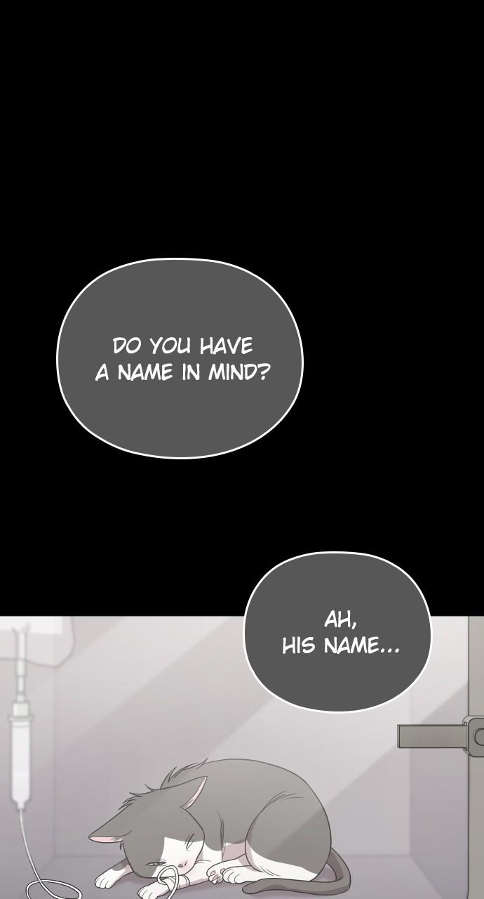 Read Marry My Husband EN Manga Online