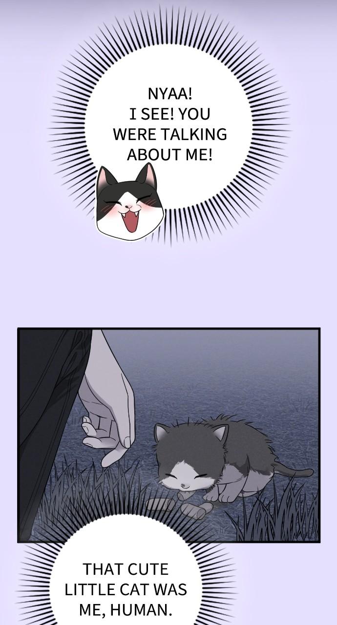 Read Marry My Husband EN Manga Online