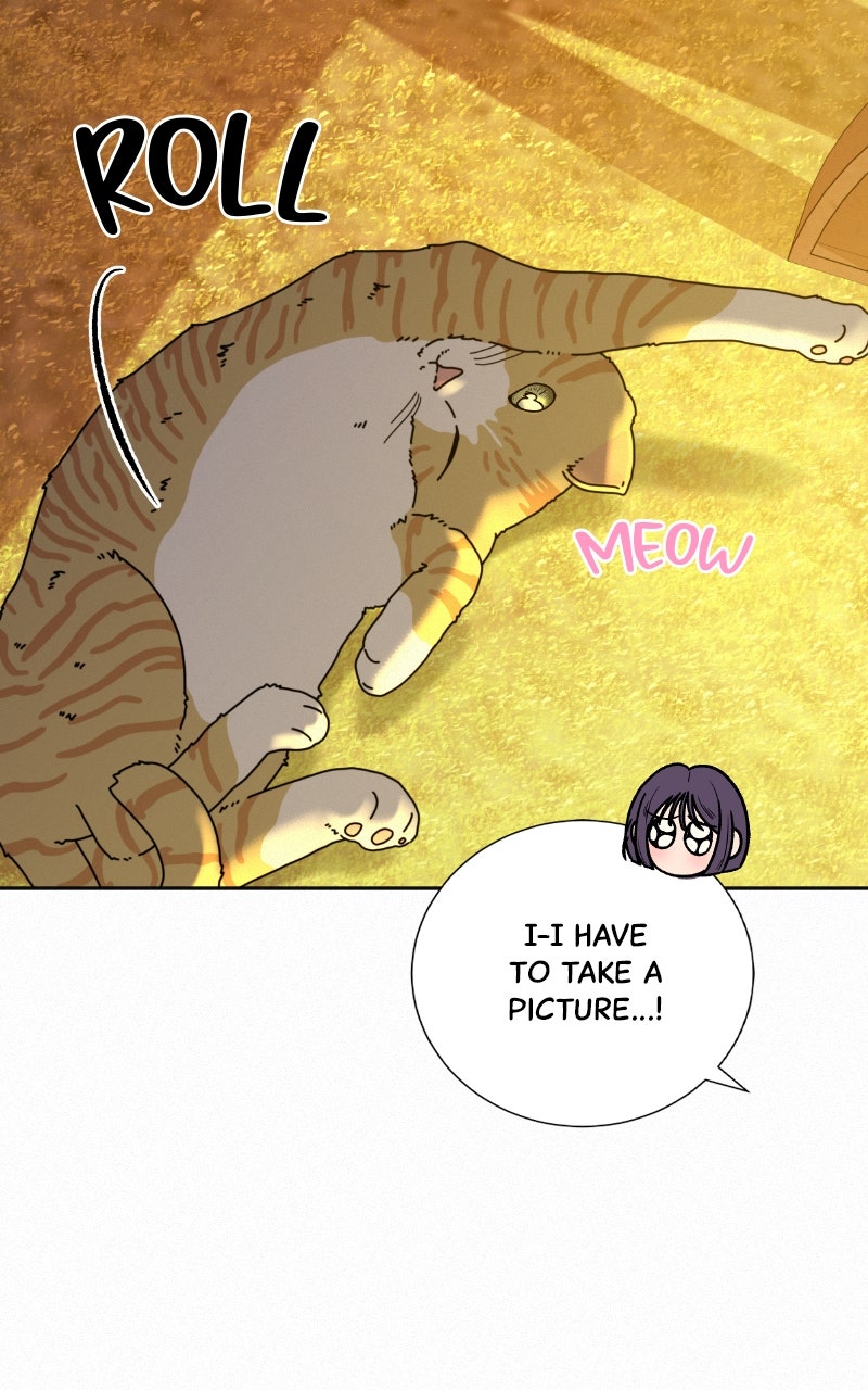 Read Operation True Love EN Manga Online