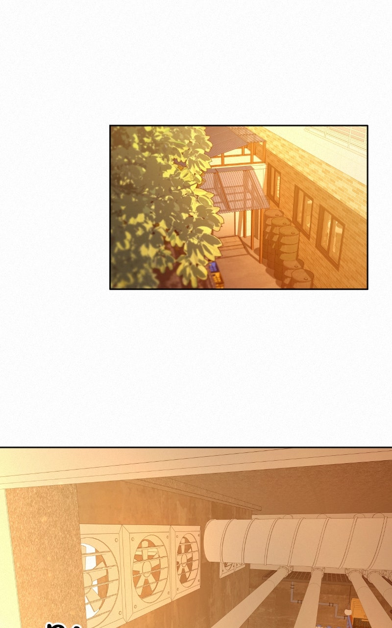 Read Operation True Love EN Manga Online