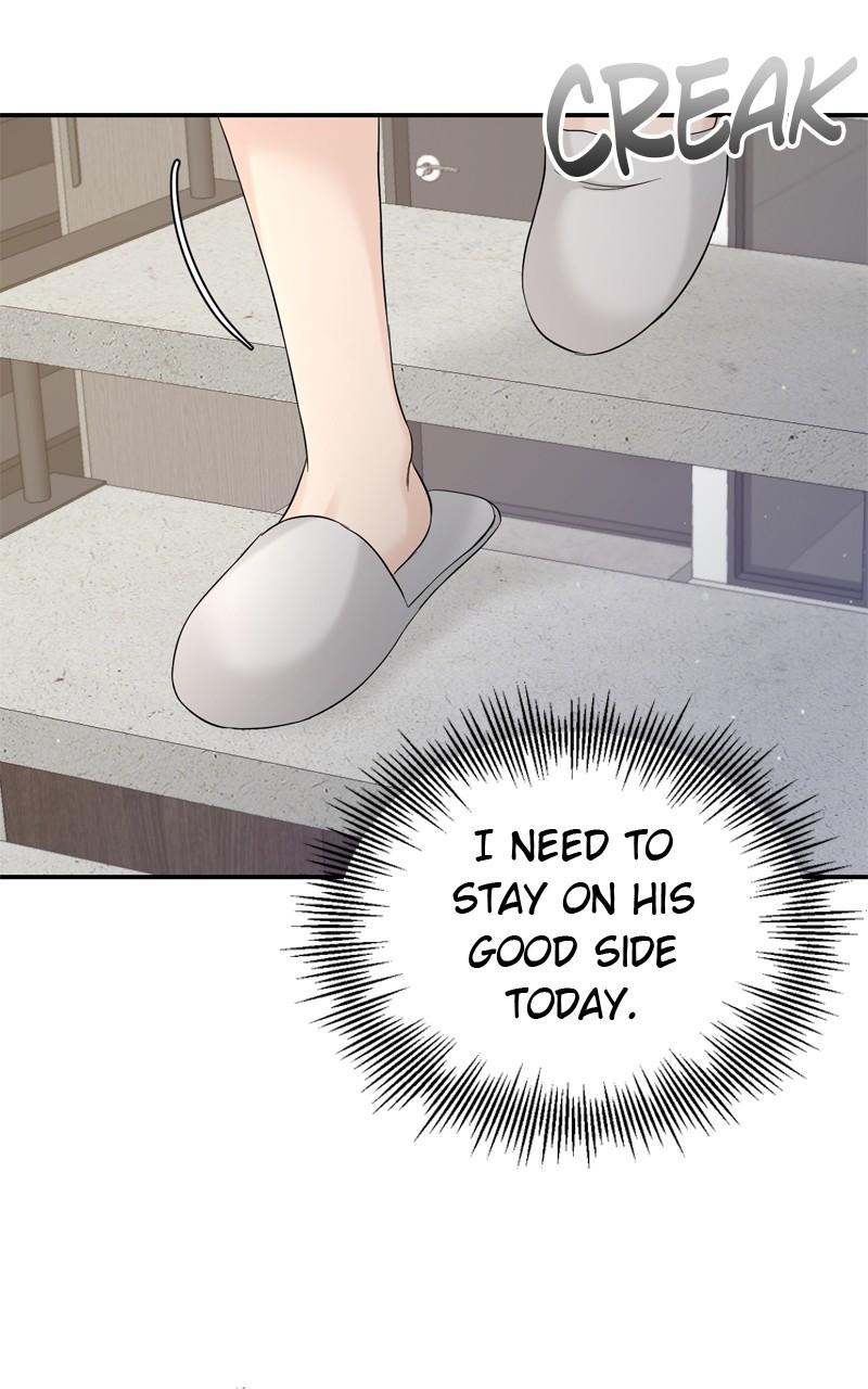 Read Perfect Marriage Revenge EN Manga Online