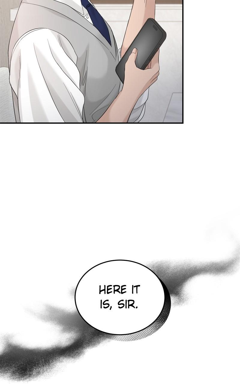 Read Perfect Marriage Revenge EN Manga Online