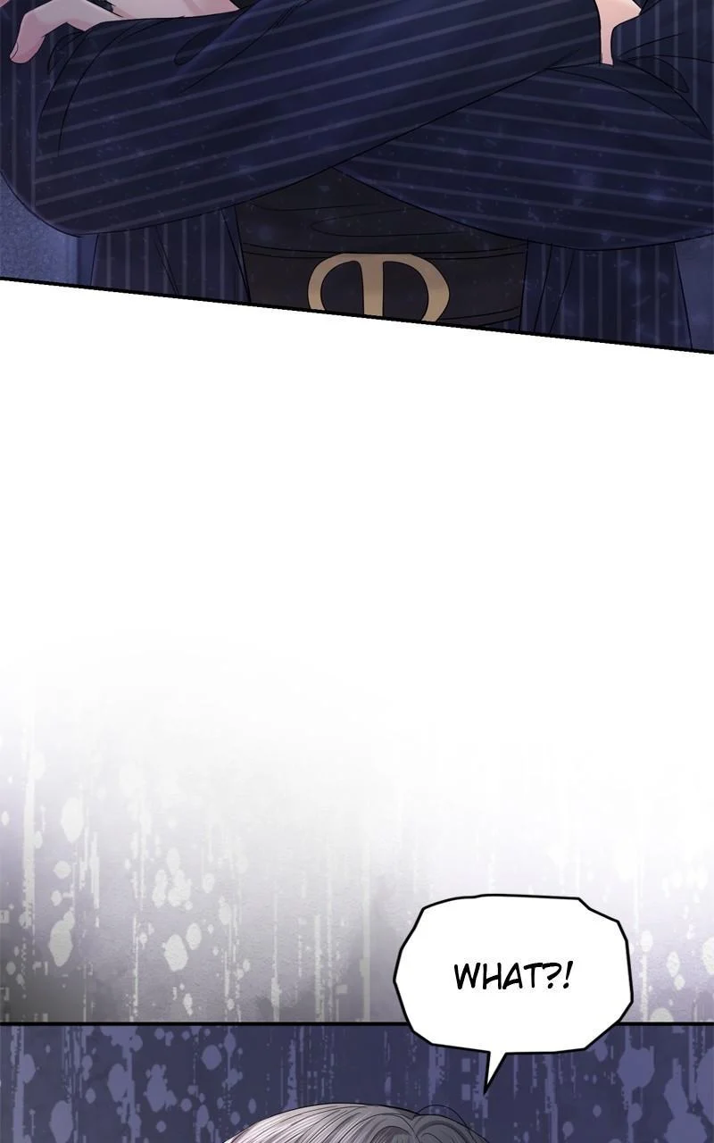 Read Perfect Marriage Revenge EN Manga Online