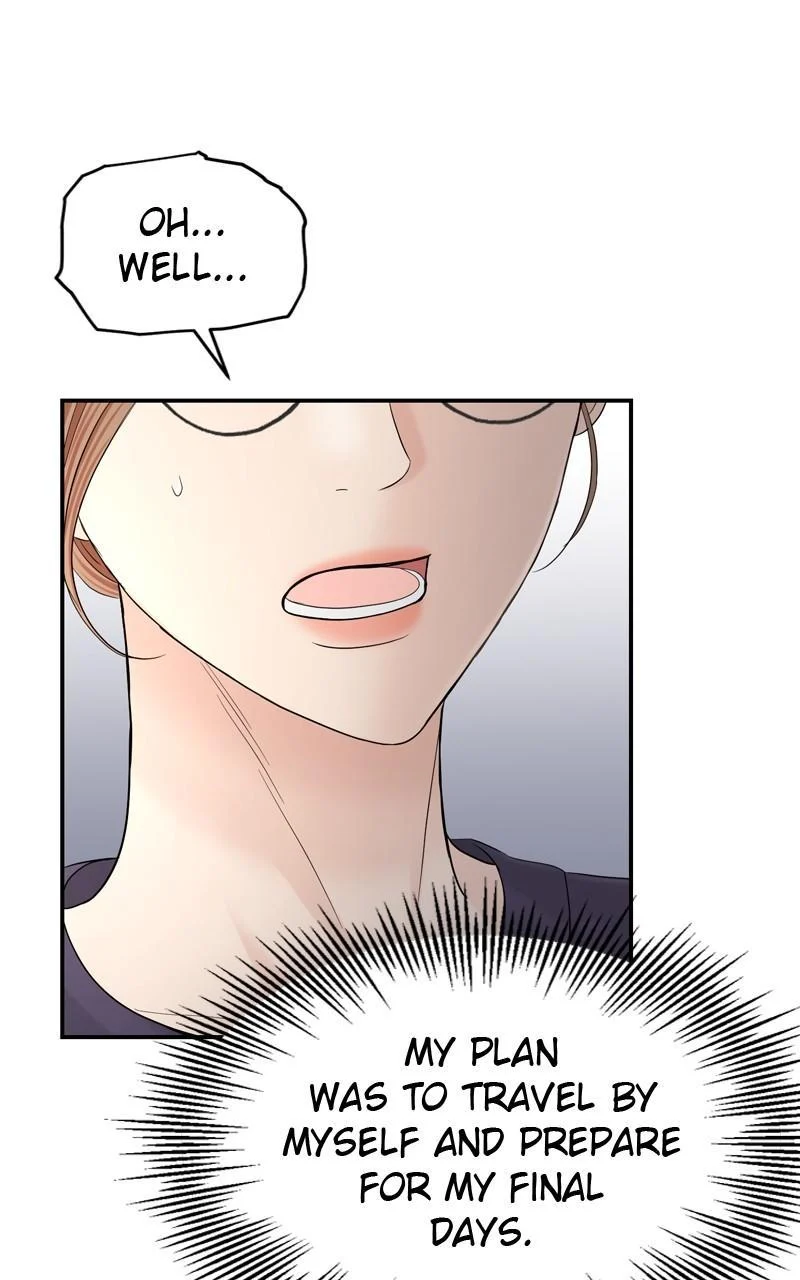 Read Perfect Marriage Revenge EN Manga Online