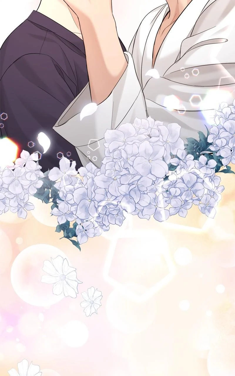 Read Perfect Marriage Revenge EN Manga Online