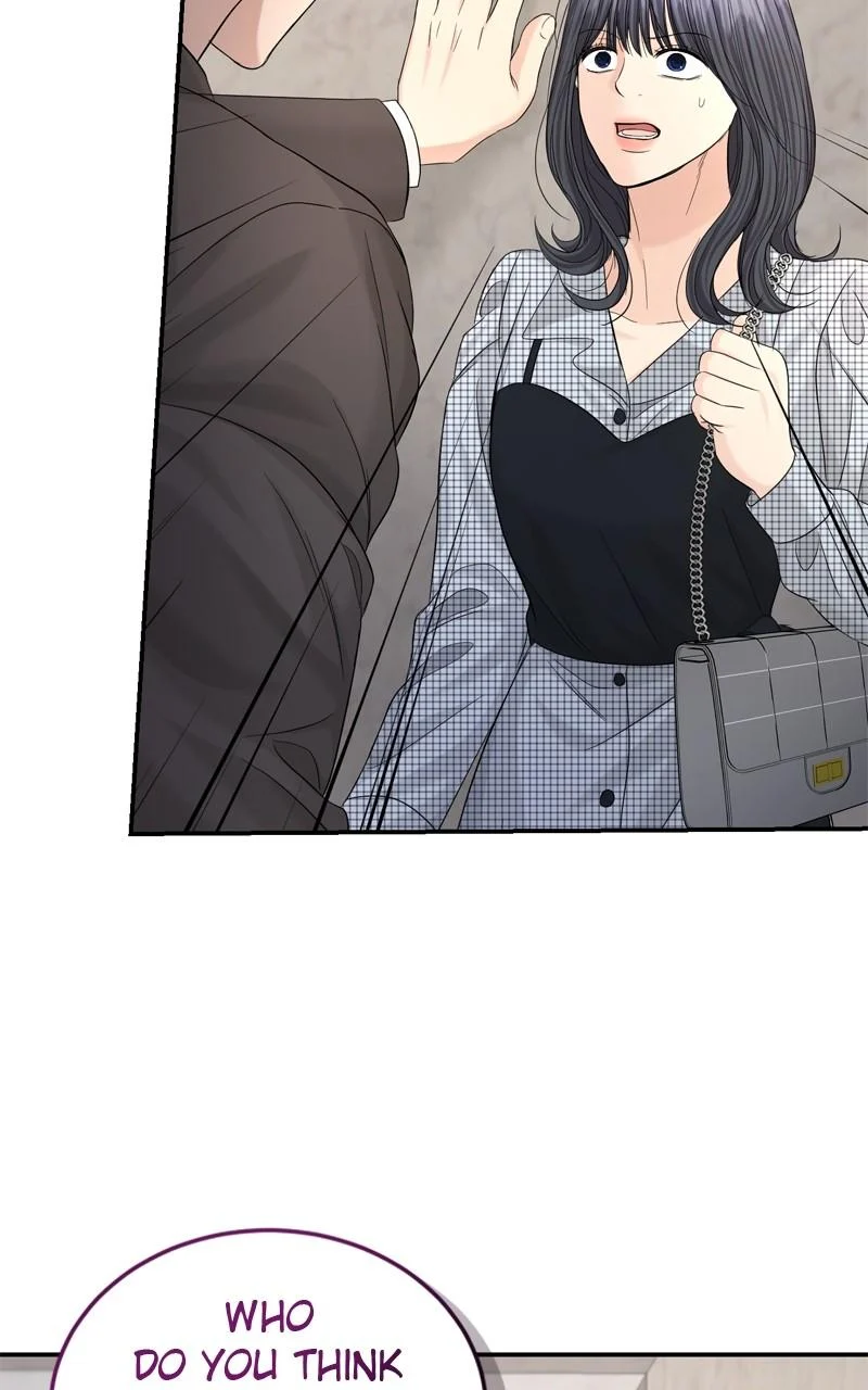 Read Perfect Marriage Revenge EN Manga Online