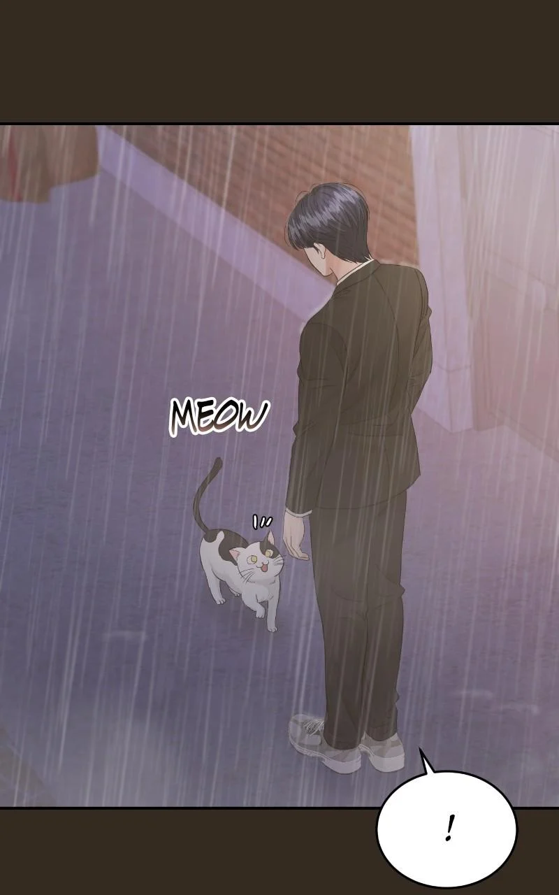 Read Perfect Marriage Revenge EN Manga Online