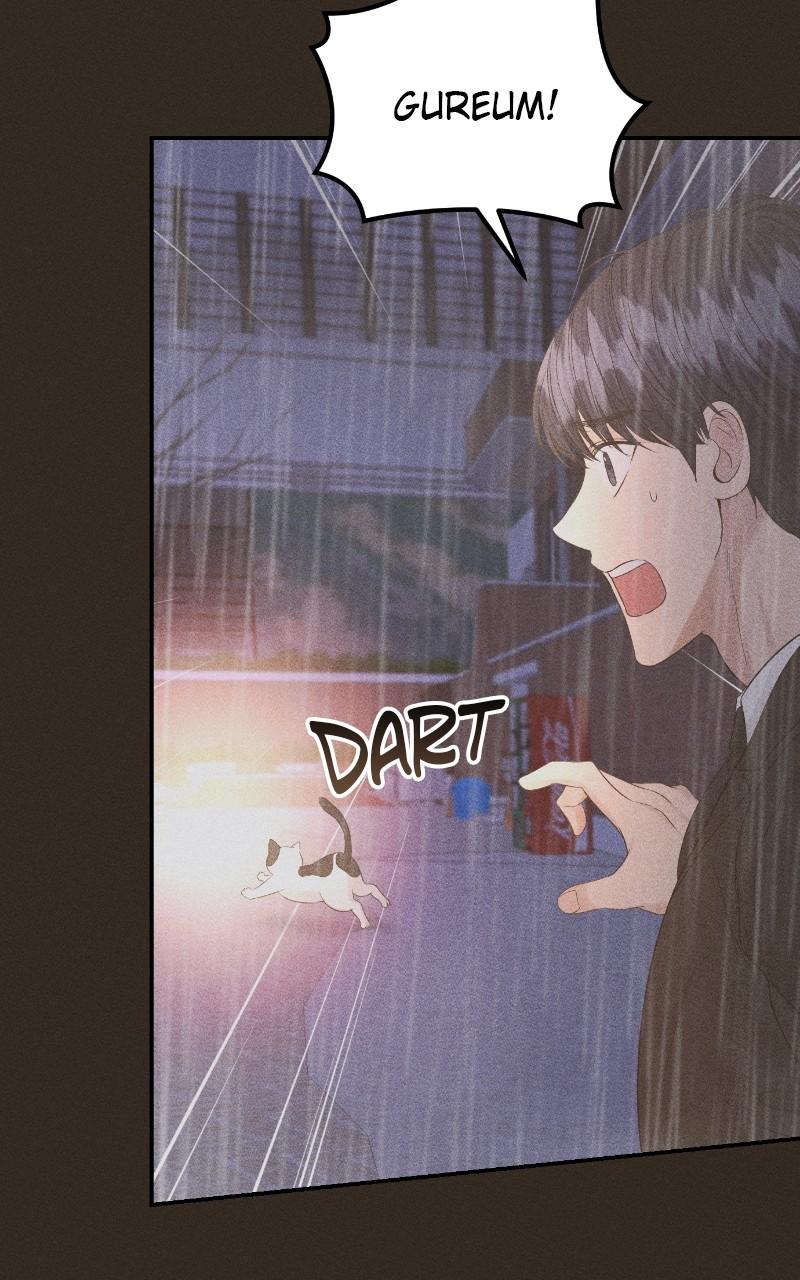 Read Perfect Marriage Revenge EN Manga Online