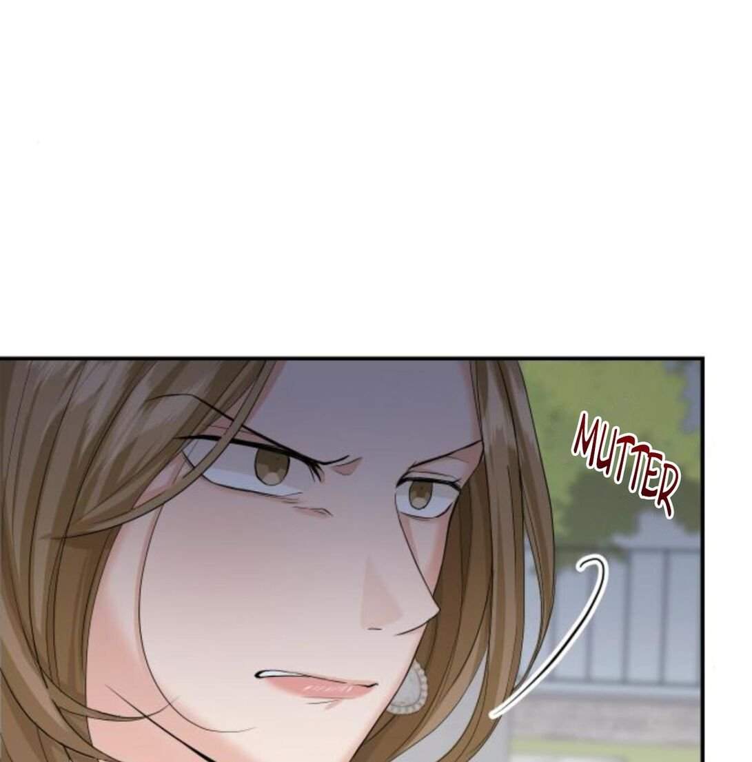 Read Perfect Marriage Revenge EN Manga Online