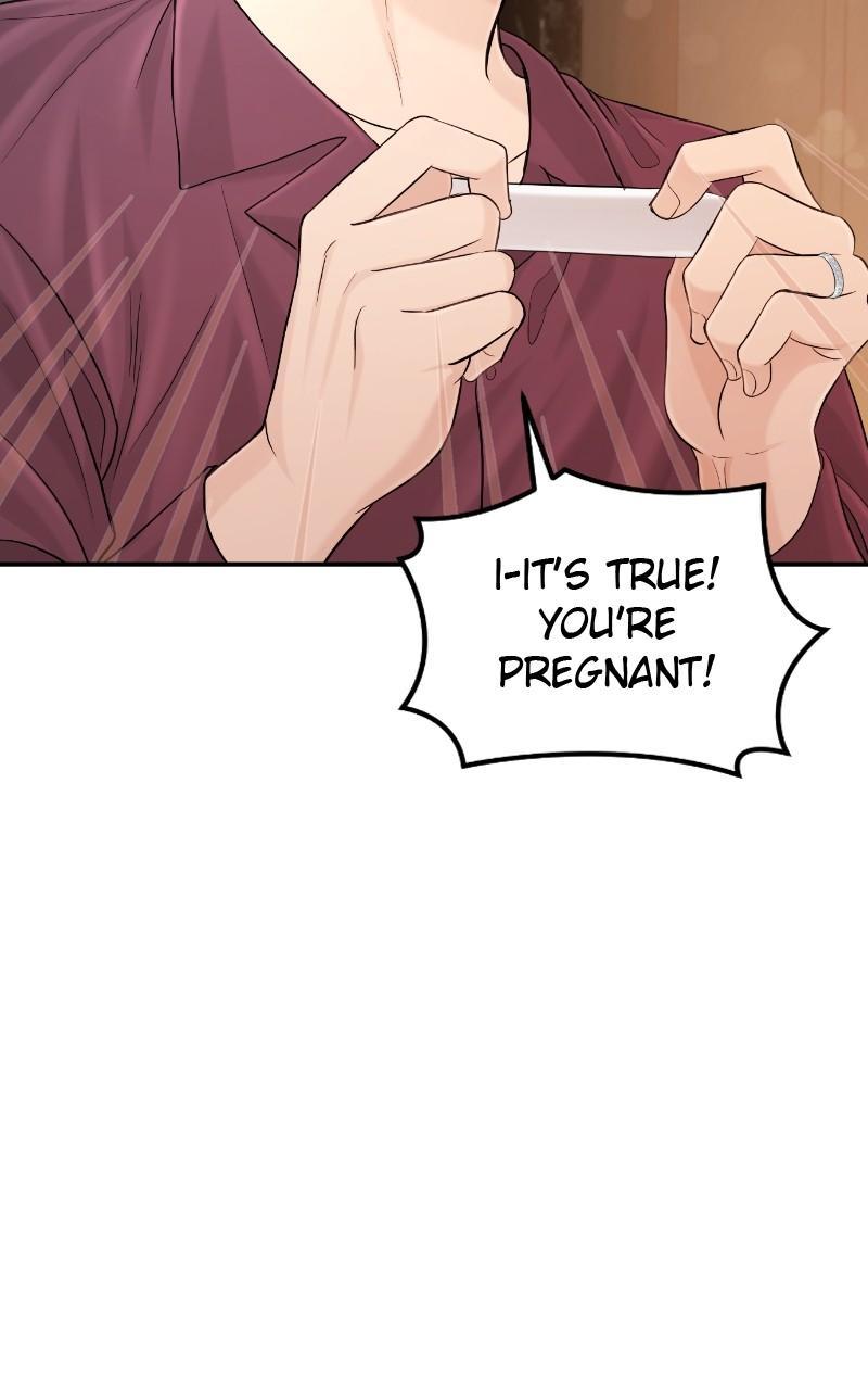 Read Perfect Marriage Revenge EN Manga Online