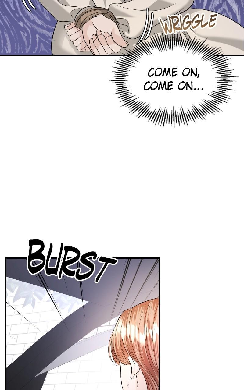 Read Perfect Marriage Revenge EN Manga Online