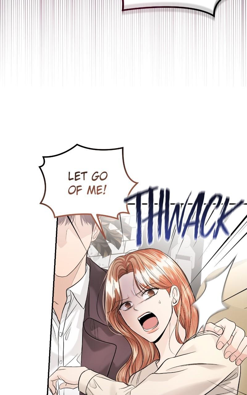 Read Perfect Marriage Revenge EN Manga Online